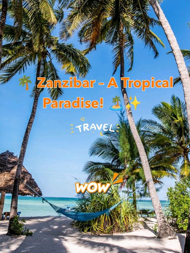 🌴 Awesome Stay in Zanzibar – A Tropical Paradise! 🏝️✨