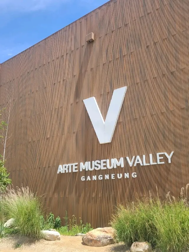 江陵ARTE MUSEUM打卡熱點