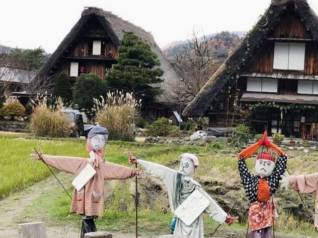 🏯✨ A Perfect Day Trip to Shirakawa-go: Japan’s Enchanting World Heritage Village! 🌿🏡