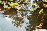 Much More Than A Temple — The Nanzenji-Temple of Kyoto