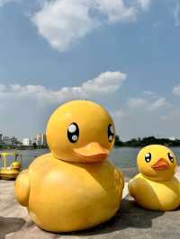 1 Day Trip in อุดรธานี ไปหาน้องเป็ดเหลือง🐥🐣