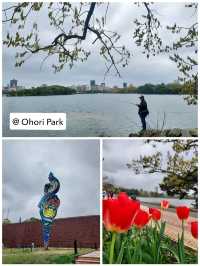 จุดชมซากุระในเมือง Fukuoka