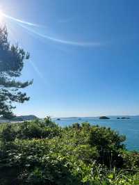 小豆島ドライブでは必須の展望台⛰️🌳