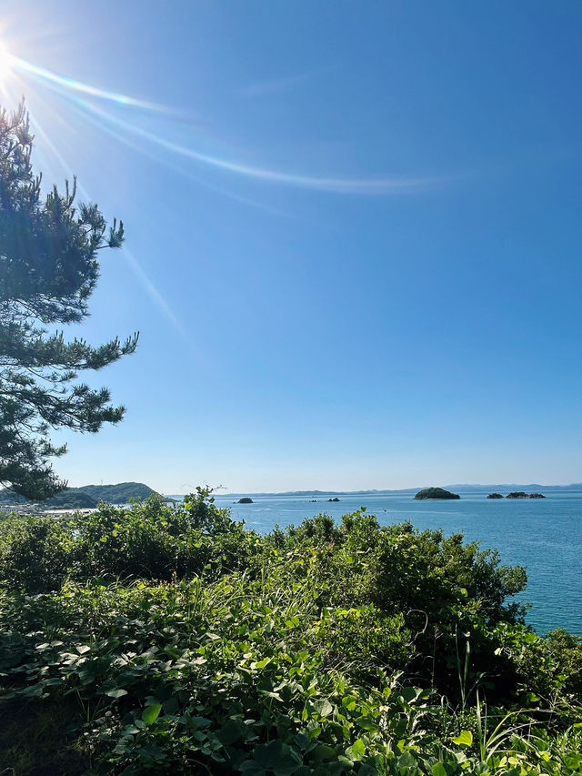小豆島ドライブでは必須の展望台⛰️🌳