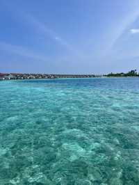 A Dreamy Escape in the Maldives!