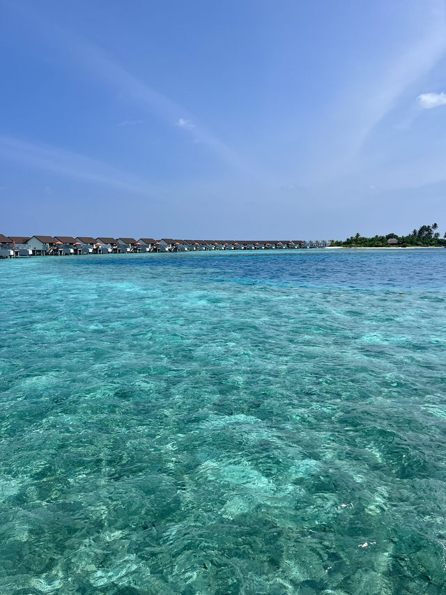 A Dreamy Escape in the Maldives!
