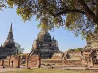 วัดหลวงแห่งอยุธยา ศูนย์กลางพุทธศาสนา