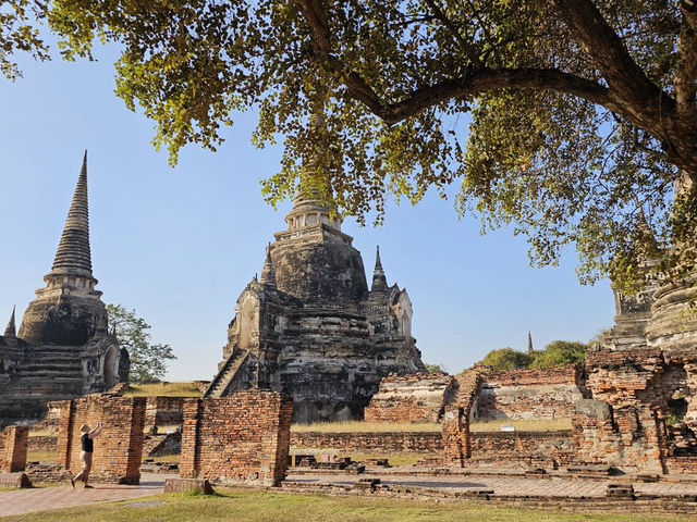 วัดหลวงแห่งอยุธยา ศูนย์กลางพุทธศาสนา