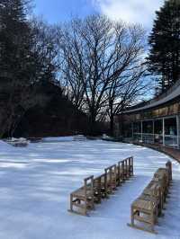 【軽井沢】氷上で満点の星空観測
