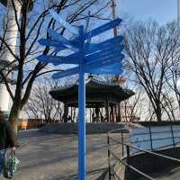 N Seoul Tower (N首爾塔)