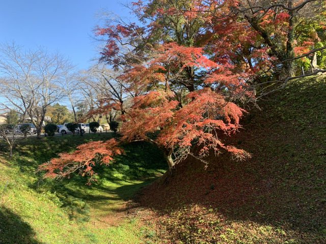 【愛知・新城市】長篠城址・史跡保存館🏯