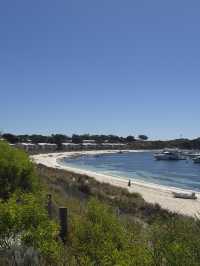 Lost in Summer Paradise of Longreach Bay Guide, Rottnest Island