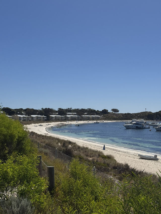 Lost in Summer Paradise of Longreach Bay Guide, Rottnest Island