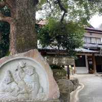 心身を癒す贅沢な隠れ『家坂聖・玉樟園』