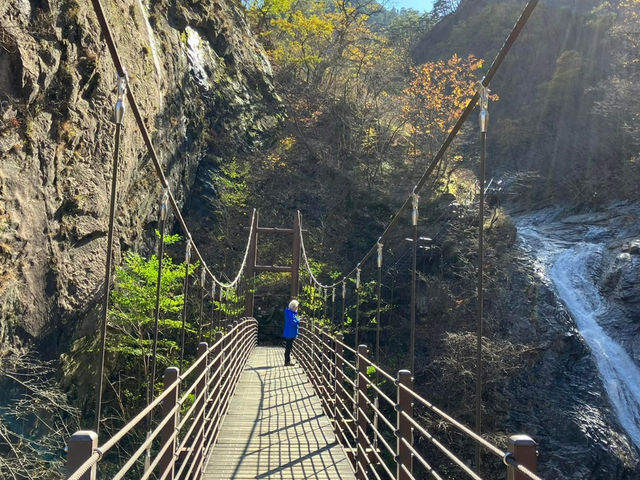 A Hiker’s Paradise: Seoraksan National Park Adventure
