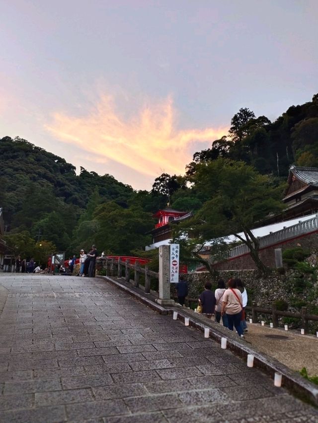 Minoh Park Waterfalls 