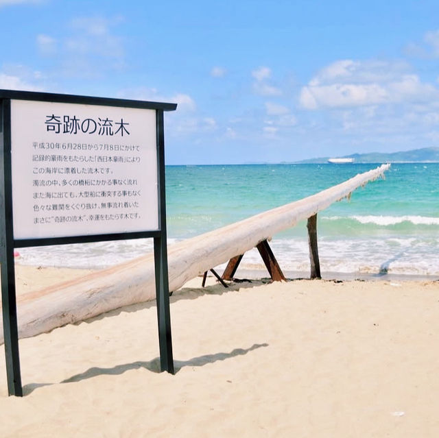 糸島の絶景スポット！夫婦岩が映える海岸⛩️🌊