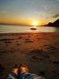 Bedarra Island Resort