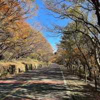 Hallasan National Park