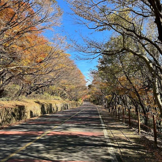 Hallasan National Park
