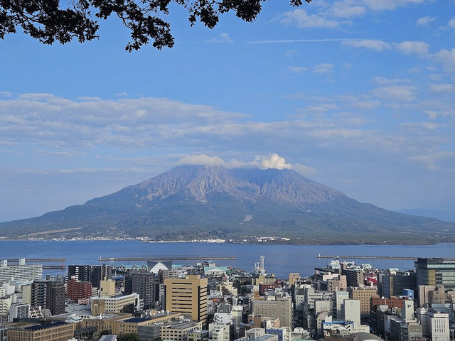 鹿児島一望🤍【城山公園展望台】
