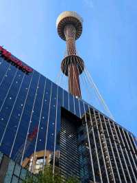 360° overlooking the breathtaking Sydney cityscape on The Sydney Tower Eye. 