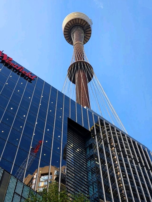 360° overlooking the breathtaking Sydney cityscape on The Sydney Tower Eye. 