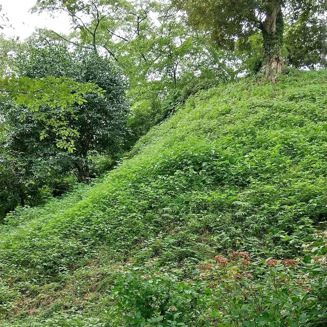 Funaoka Castle Park (船岡城址公園)