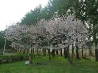 Makomanai Park