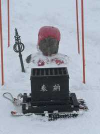 疫情後久違的旅行