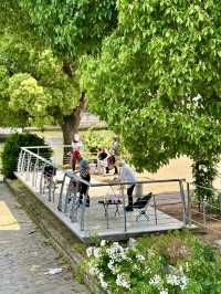 綠意長流——漫步中之島公園的悠然時光