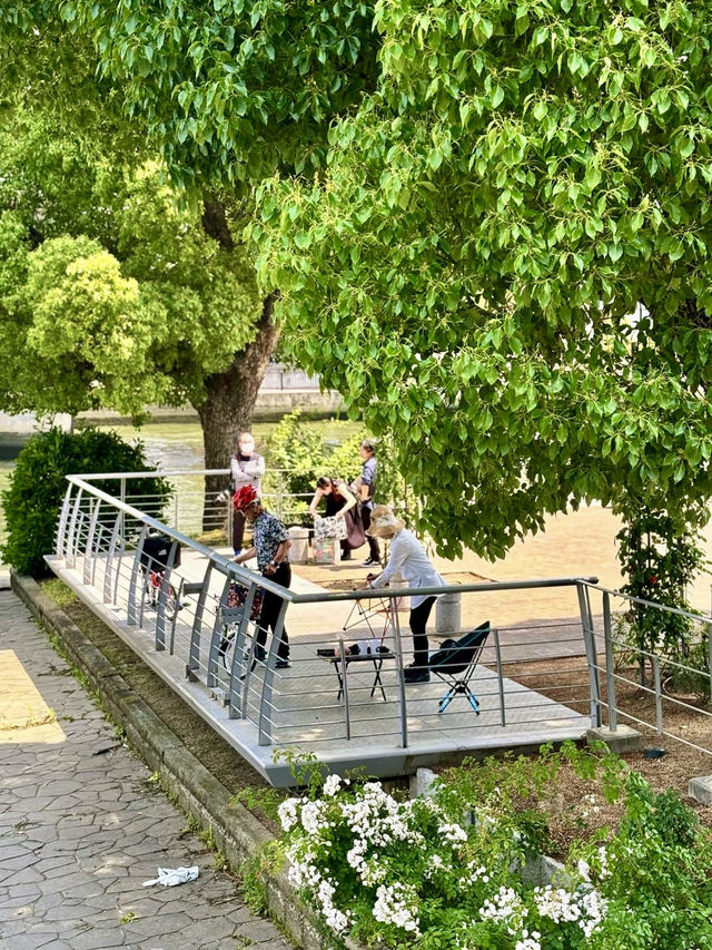 綠意長流——漫步中之島公園的悠然時光