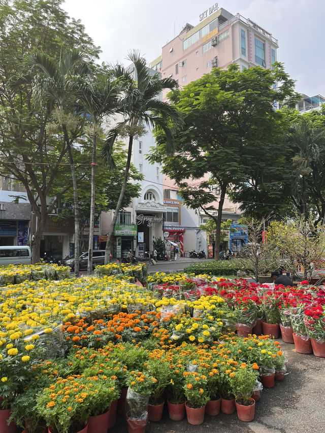 Trung Tam Thuong: A Hidden Gem of Spring Blooms