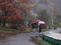 ชิลกลางสายหมอก พักใจกลางธรรมชาติที่ Yuno Lake