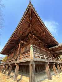 防府｜聖武天王開基的周防國分寺 1200年守護疾病與災禍