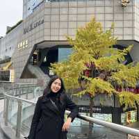 Chengdu เมืองสุดสวยอันน่าหลงใหล