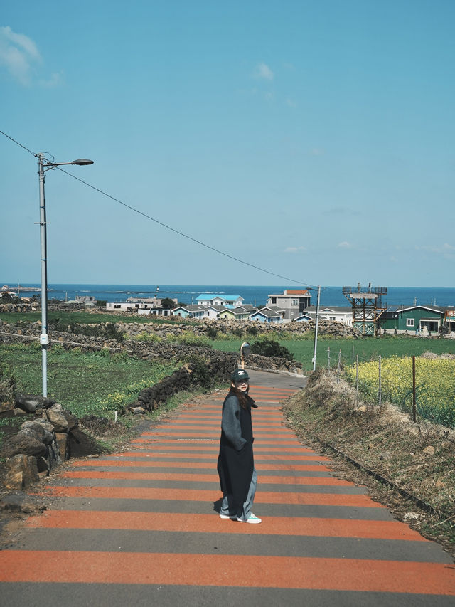 濟州旅行 牛島最可愛打卡點分享 隨便拍都像畫！