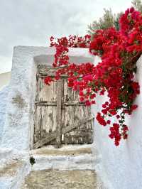 Spring in Pyrgos, Santorini🌸