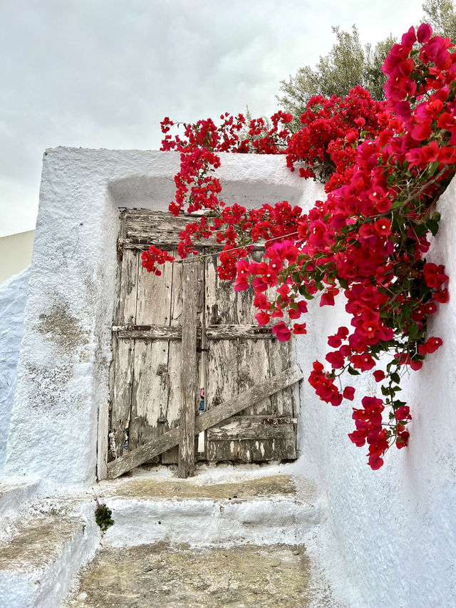 Spring in Pyrgos, Santorini🌸