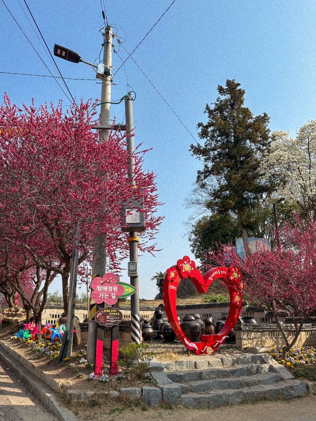 매년 3월이 되면 가장 먼저 가야할 곳