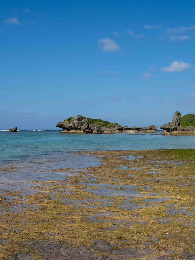 ザネー浜 – 沖縄の穴場ビーチ🌊🏝️
