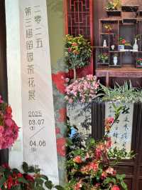 A Camellia Lover’s Dream: The Enchanting Liuyuan Camellia Exhibition