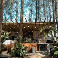 คาเฟ่วิวภูเขาและป่าสน ที่ราชบุรี🌿📸