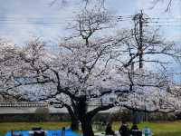 日本九州長崎大村公園