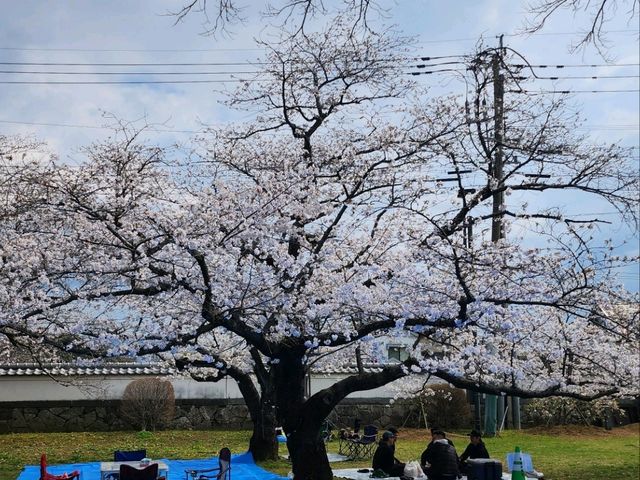 日本九州長崎大村公園