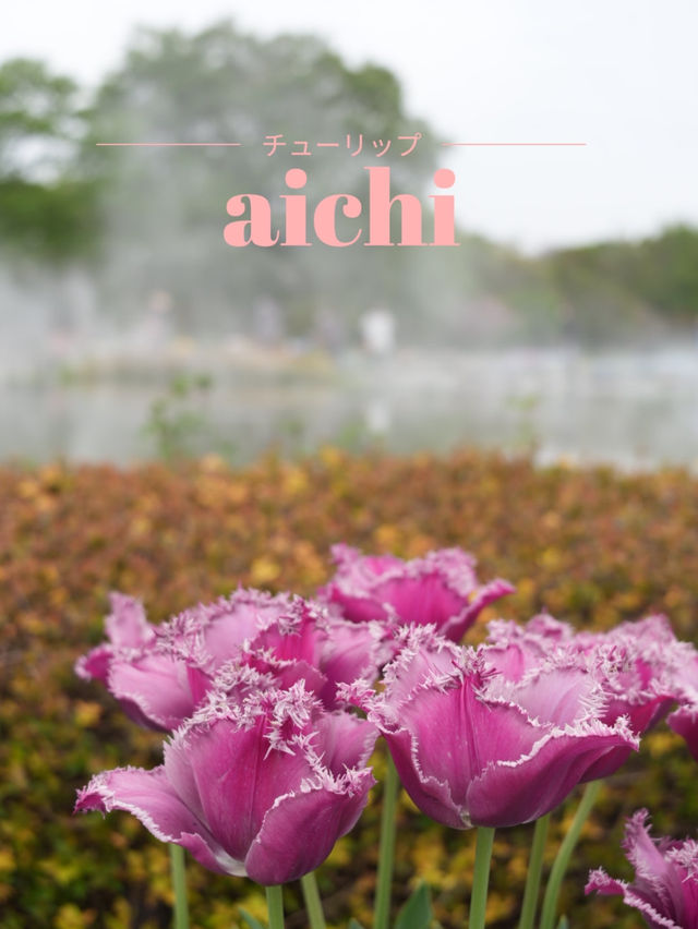 【愛知×フラワーパーク江南】四季折々の花々が楽しめる公園