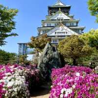 Spring Picnic Bliss at Osaka Castle Park