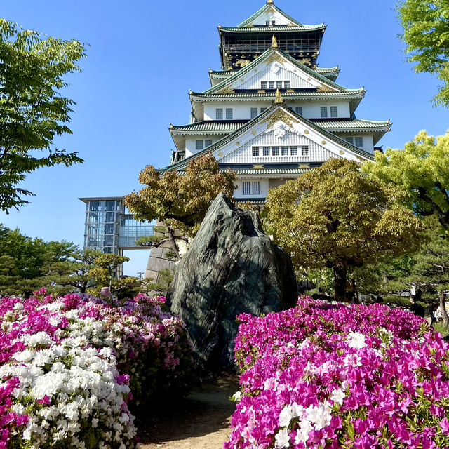 Spring Picnic Bliss at Osaka Castle Park