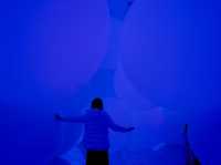 teamLab Planets Tokyo เปิดโซนใหม่ 2025