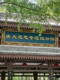 The Heart of Buddhist History: Exploring Da Ci'en Temple